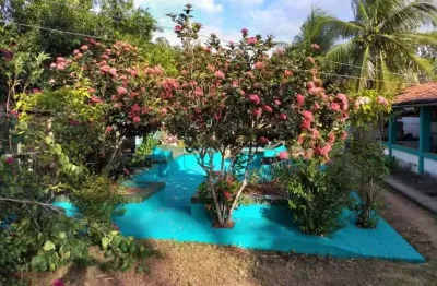 Fazenda estruturada com 38 hectares na região de monte alegre um paraíso de propriedade