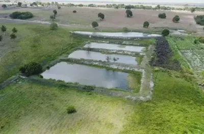 Chácara / sítio com 3 quartos à venda no Centro, Monte Alegre 