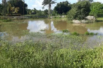 Linda fazenda com 15 hectares estruturada de tudo na região de vera cruz
