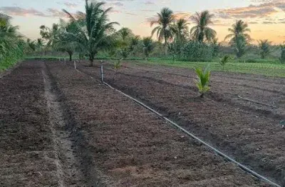 Fazenda/sítio/chácara com 7.3 hectares próximo a monte alegre bem estruturada excelente localização