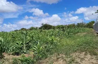 Granja com 14 hectares em punau estruturada rio perene etc