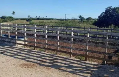 Chácara / sítio com 4 quartos à venda no Centro, Monte Alegre 
