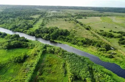 Fazenda com 49.7 hectares excelente para carcinicultura com 28 hectares de lâmina d'água