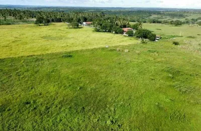 Fazenda/sítio/chácara para venda tem 80.5 hectares direto com o proprietário estudamos proposta