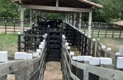 Fazenda/sítio/chácara 498 hectares com uma estrutura esuberante riquíssima em tudo pasto água etc.