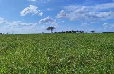 Fazenda com 230 hectares no vale de monte alegre riquíssima em água e pasto