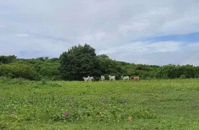 Chácara / sítio com 3 quartos à venda no Centro, Monte Alegre 