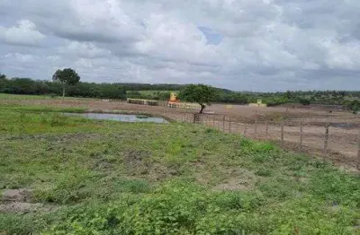 Chácara / sítio com 3 quartos à venda no Centro, Monte Alegre 