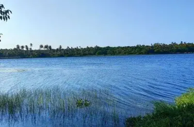Chácara / sítio com 3 quartos à venda no Centro, Rio do Fogo 