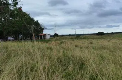 Fazenda com 95 hectares com 4 quartos 8 baías cural casa de caseiro 2 poço tubulares etc