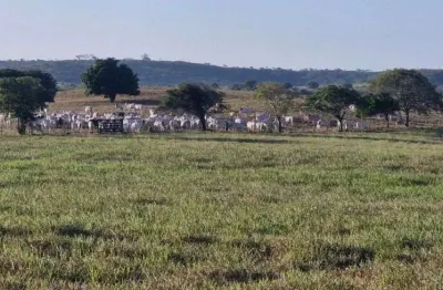 Fazenda com 184 hectares na região de mari-pb estrutura em tudo um luxo de propriedade pronta