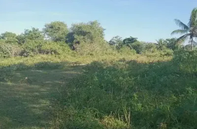 Excelente fazenda com 49 hectares na região de são gonçalo do amarante