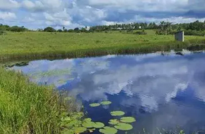 Chácara / sítio com 3 quartos à venda no Centro, Monte Alegre 