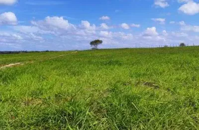 Fazenda com 220 hectares na região de monte alegre plantada e estruturada bastante água