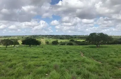 Chácara para venda com 20 hectares na região de monte alegre plantada com rio perene e poço tubular