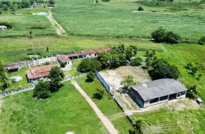 Fazenda/sítio/chácara para venda com 55 hectares em plena br101 a 1 km da entrada da cidade top