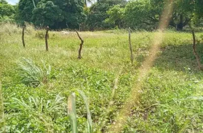 Excelente fazenda com 260 hectares na região de punau