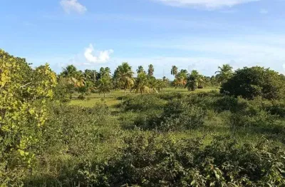 Chácara / sítio com 3 quartos à venda no Centro, Touros 