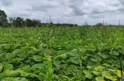 Fazenda com 47 hectares no arena municipal de são josé de mipibu-rn com poço tubular e rio perene