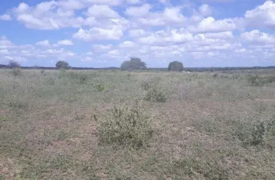Fazenda com 570 hectares entre serra caiada e ganhará