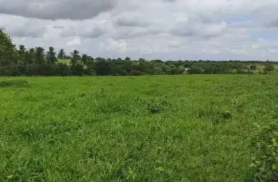 Fazenda com 1.000 hectares de porteira fechada na região de vera cruz