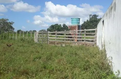 Chácara / sítio com 3 quartos à venda no Centro, Vera Cruz 
