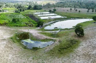 Fazenda com 40 hectares em monte alegre com grande potencial