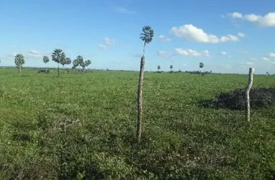 Linda fazenda com 190 hectares entre lagoa de pedras e serrinha