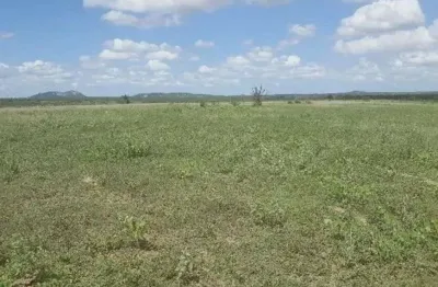Fazenda com 570 hectares entre tangara e serra caiada