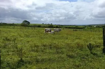 Chácara / sítio com 3 quartos à venda no Centro, Monte Alegre 