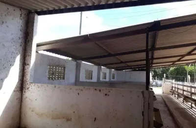 Fazenda com 80 hectares na região de são pedro do potengi