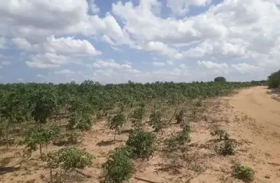 Chácara / sítio com 3 quartos à venda no Centro, Macaíba 
