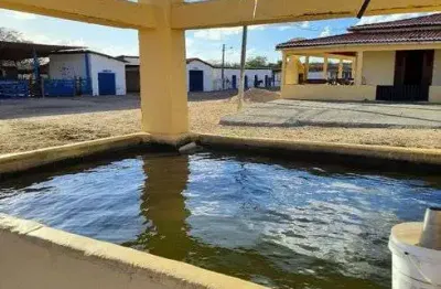 Chácara / sítio com 5 quartos à venda no Centro, Tangará 