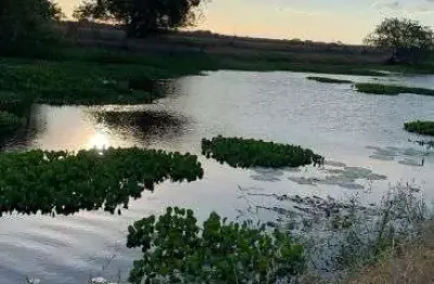 Fazenda no vale de ceara mirim-rn riquíssima em água e em estrutura