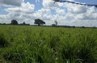 Chácara / sítio com 3 quartos à venda no Centro, Vera Cruz 