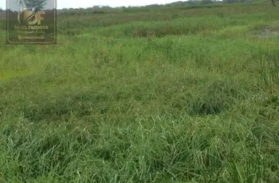 Fazenda com 25 hectares no vale de ceara mirim com o rio detro