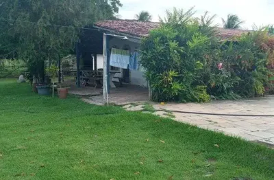 Chácara / sítio com 3 quartos à venda no Centro, Monte Alegre 