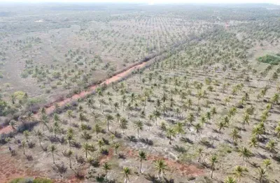 Fazenda com 279 hectares na região de rio do fogo excelente para coqueiros