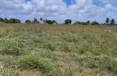 Chácara / sítio com 4 quartos à venda no Centro, Monte Alegre 