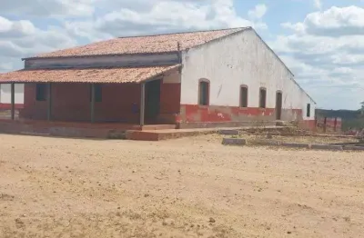 Chácara / sítio com 3 quartos à venda em Paizinho Maria, Currais Novos 