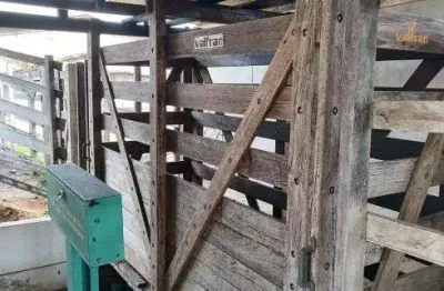 Fazenda com 220 hectares na região de monte alegre no vale