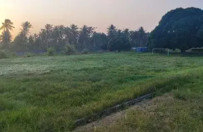 Granja com 4 hectares no villagio dos coqueiros próximo a monte alegre