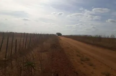 Chácara / sítio com 5 quartos à venda no Centro, Apodi 