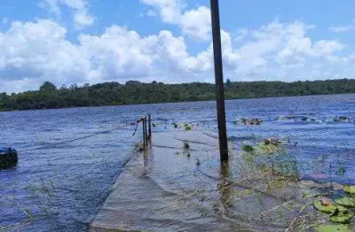 Fazenda com 250 hectares bem estruturada e com uma localização perfeita para quais quer atividade