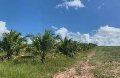 Chácara / sítio com 3 quartos à venda no Centro, Arez 