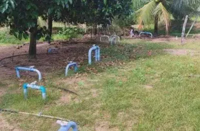 Chácara / sítio com 3 quartos à venda no Centro, Rio do Fogo 