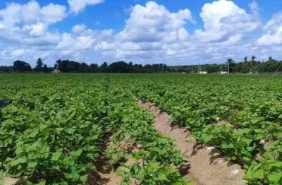 Granja com 18 hectares na região de vera cruz 100% irrigada um luxo de terra