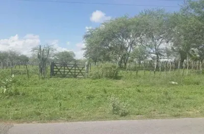 Chácara / sítio com 3 quartos à venda no Centro, São Pedro 
