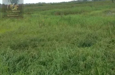 Fazenda com 25 hectares no vale de ceara mirim com o rio dentro