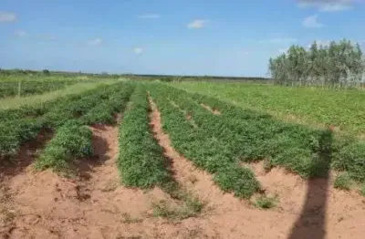 Fazenda com 60 hectares próximo a santa luzia de touros